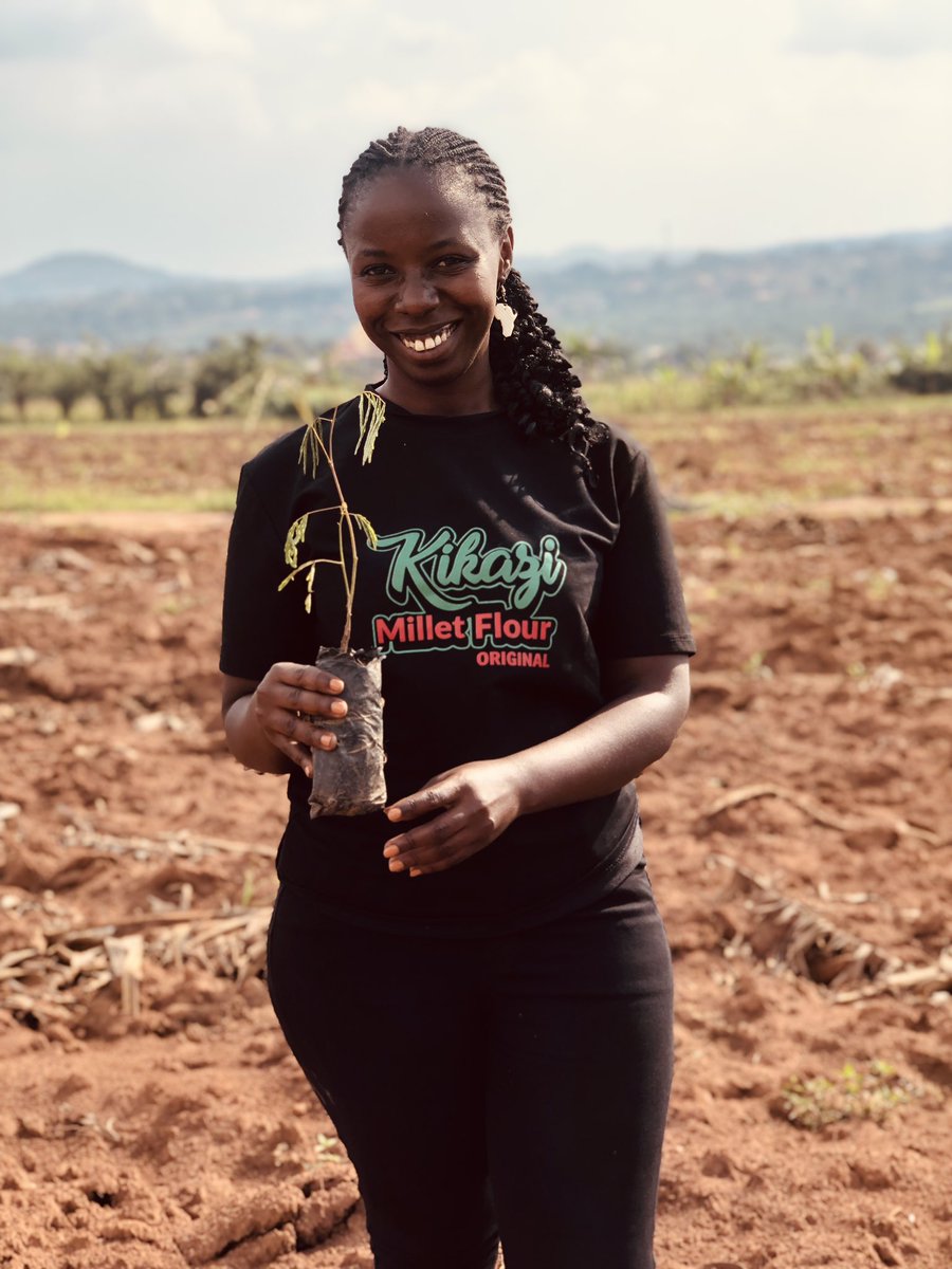 Akatuha Grace🇺🇬 (@graceakatuha) on Twitter photo It was an absolute privilege together with support from <a href="/ASARECA/">ASARECA</a> and <a href="/narouganda/">NARO Uganda</a> to put #Agroecology into action. I participated in planting #Calliandra a tree that nurtures biodiversity, supports ecosystems and promoting #Sustainability.
#TreePlanting <a href="/blaiseamony/">blaise amony</a> It was an absolute privilege together with support from <a href="/ASARECA/">ASARECA</a> and <a href="/narouganda/">NARO Uganda</a> to put #Agroecology into action. I participated in planting #Calliandra a tree that nurtures biodiversity, supports ecosystems and promoting #Sustainability.
#TreePlanting <a href="/blaiseamony/">blaise amony</a>