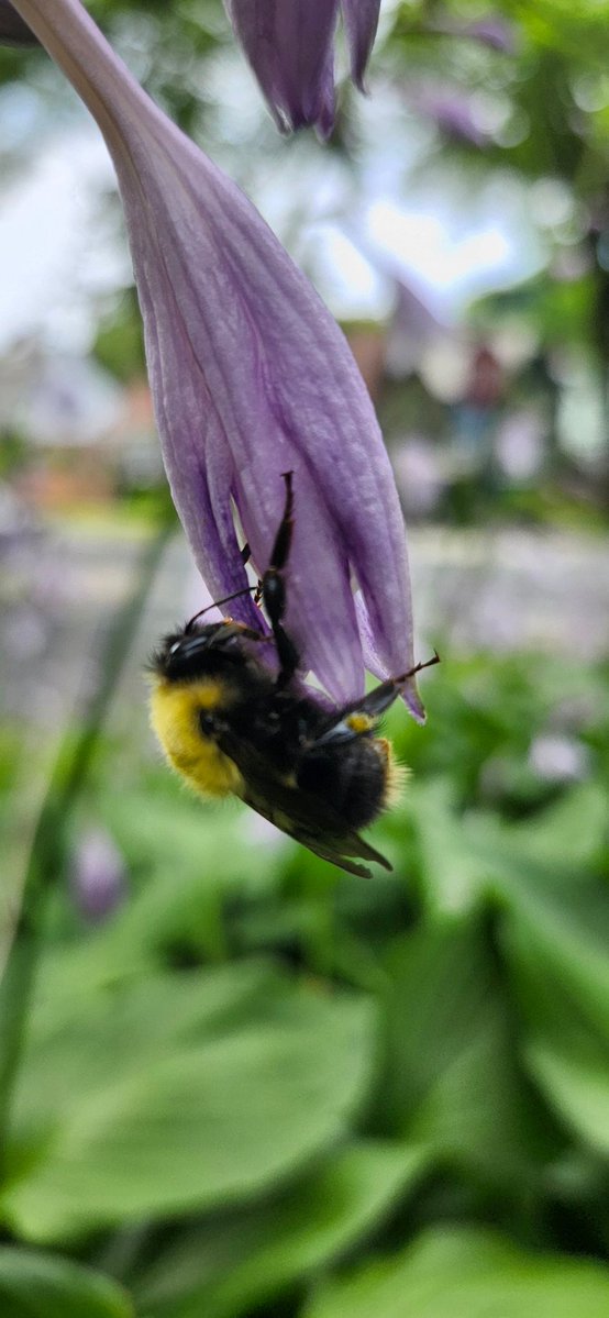 Don't forget to stop to smell the flowers.