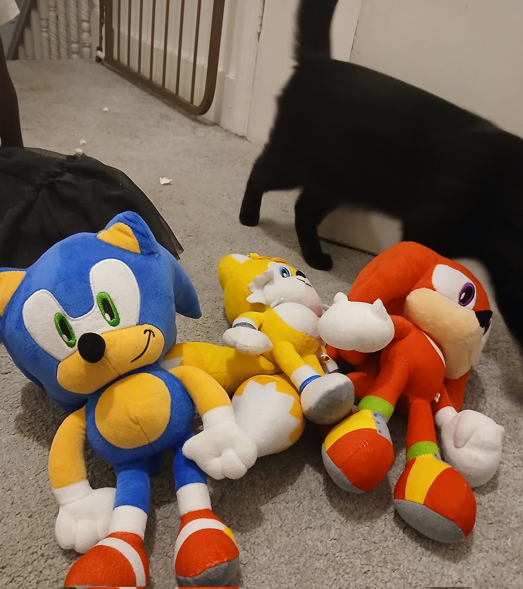 VersaDile's tweet image. Saw my niece today and she brought the whole trio!

The next generation of Sonic Fans bruh ima cry and I never cry 😭