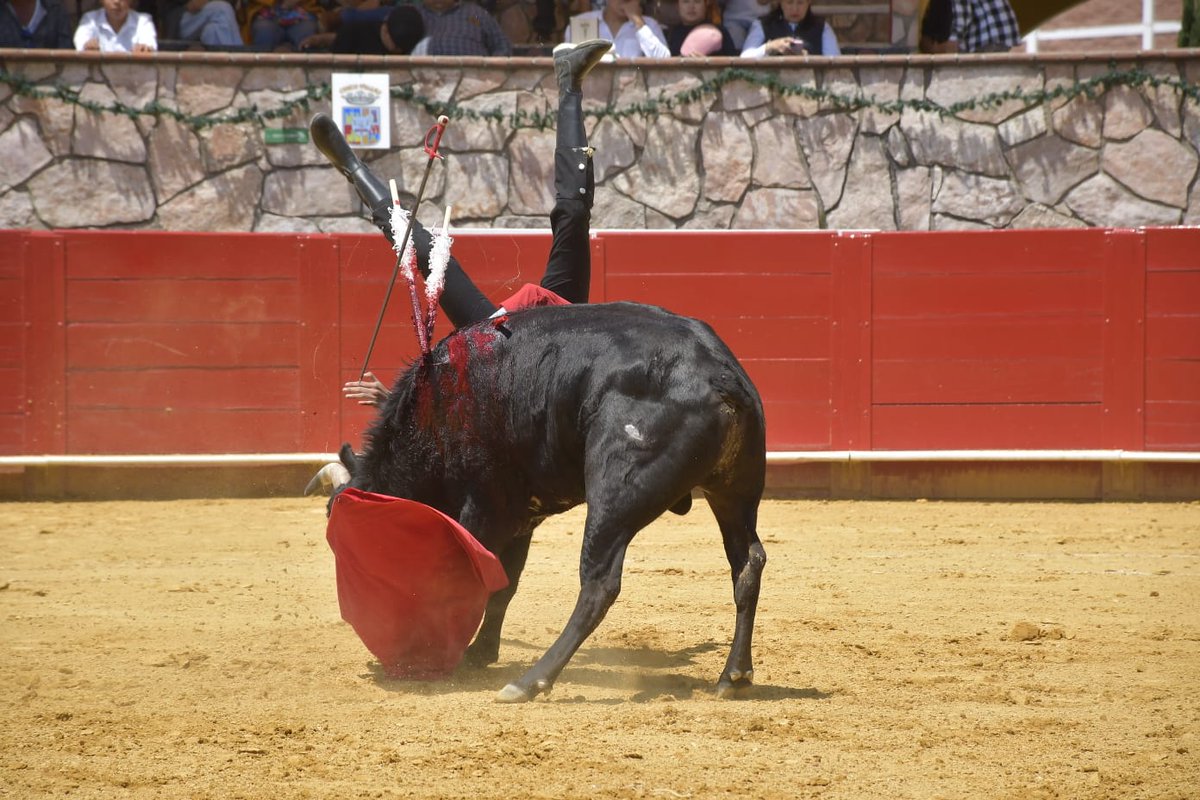 Alejandro Moreno "Castelita"  sufre fuerte voltereta en el quinto de la tarde que le impide salir a matar a su novillo.

📸Oscar Mir MIRando El Arte

#CincoVillas #FestivalTaurino #HoyEsElDía #FiestaBrava #ViveLaTradición