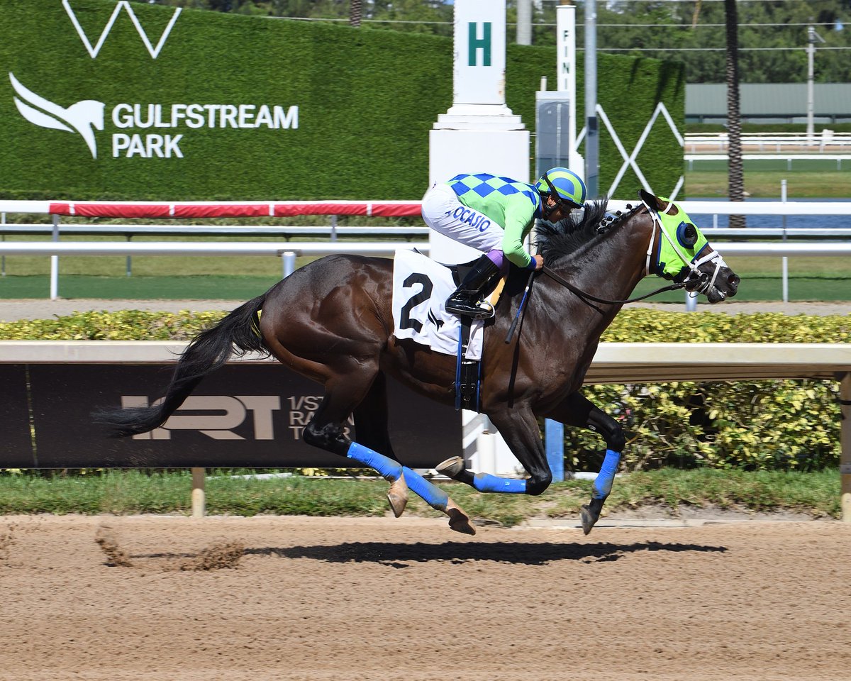 Tres Coronas, with Jonathan Ocasio, leads all the way in race 7 for trainer Luis Ramírez and owner Smith Ranch Stables. #GulfstreamPark #RoyalPalmMeet