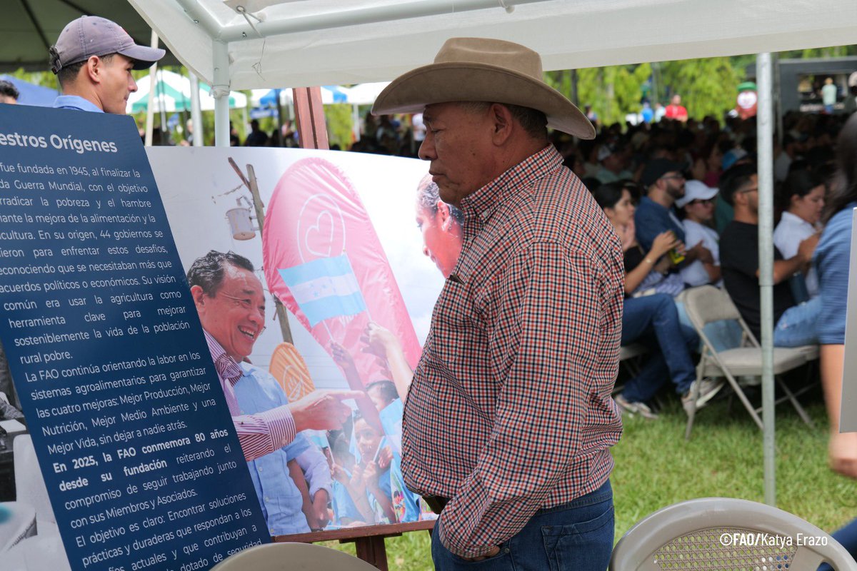 FAO HONDURAS tweet media