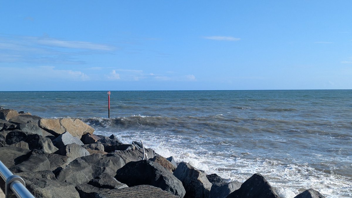 Shoals of pelagic fish have arrived inshore in recent days at West Bay, bringing in flocks of gulls mainly Herring. Tonight 25 Mediterranean Gulls, 10 Black Headed, Kittiwake and a Gannet present. Yesterday a dark phase Arctic Skua went east