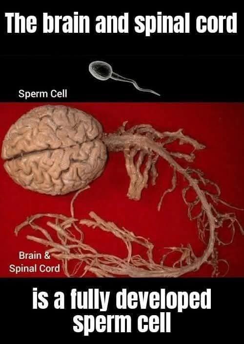 Citizen MattersX | #ನಾಗರಿಕರ ವಿಷಯಗಳು (@citizenmattersx) on Twitter photo 