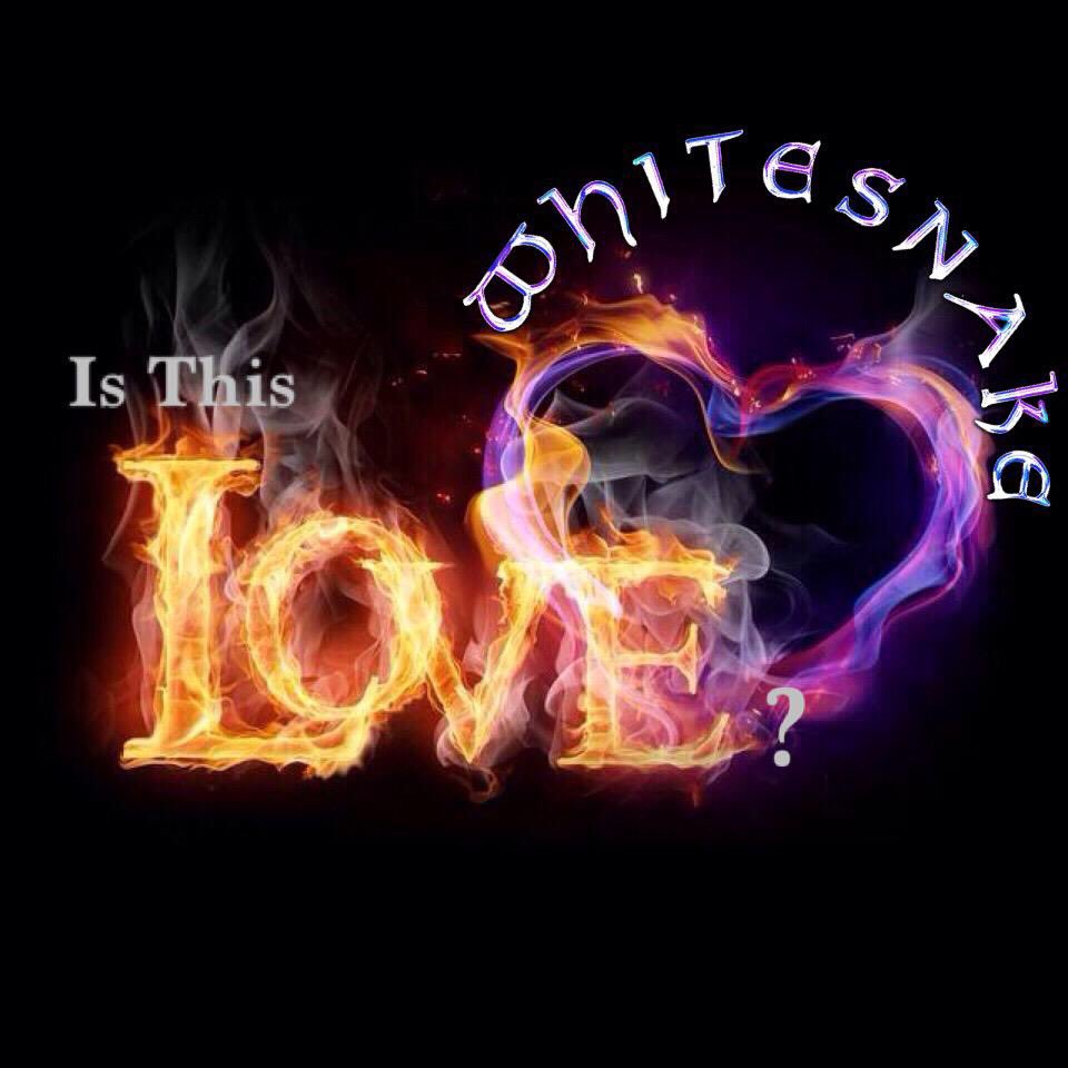 Whitesnake's tweet image. GOOOOD Ridiculously Hot Morning, Afternoon & Good Evening 2 You & Yours, Beloveds…Wherever You Are In This Magnificent World We Share…I Hope ALL Is Well & You’re Already making The Most Of This Beautiful Day…Still A House Of Sadness, I Must Confess, But, Feeling Supported XXX