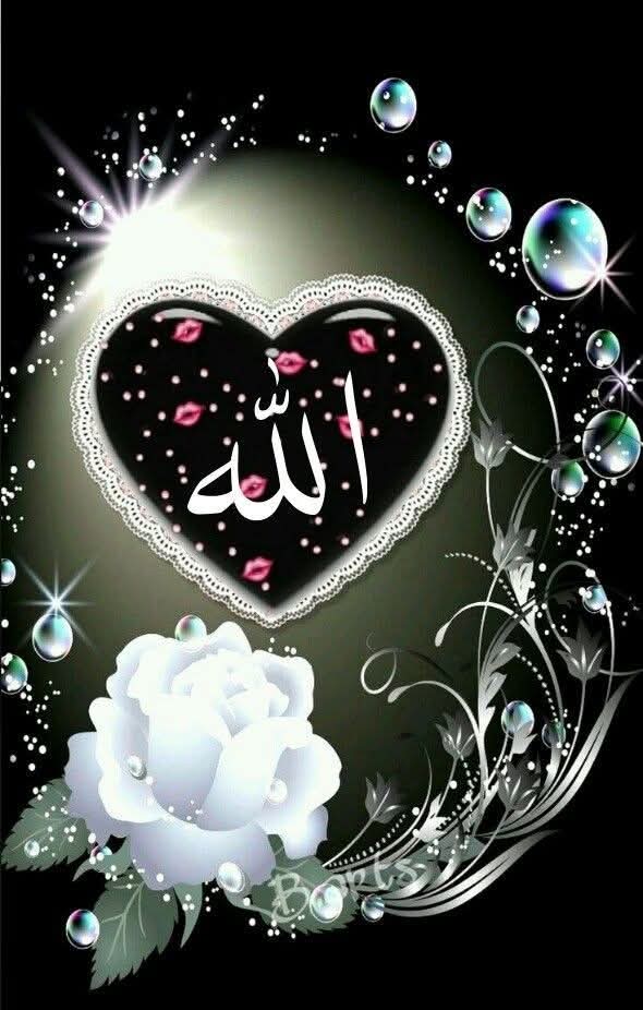 ،💚❤️ نواب زادی ❤️💚 tweet media