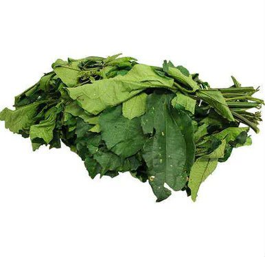 Duraxis_food's tweet photo. 🌿 Fresh Ugu Leaves are back in stock!
Perfect for Egusi, Okra, or simply sautéed with onions.
Next-day UK delivery
🛒 Shop now: [https://t.co/8jxcKLGArc]
You can also buy from us on Amazon, eBay, Etsy &amp; TikTok Shop
#UguLeaves #AfricanFoodUK #DuraxisDelivers https://t.co/O7AHOFlzpP