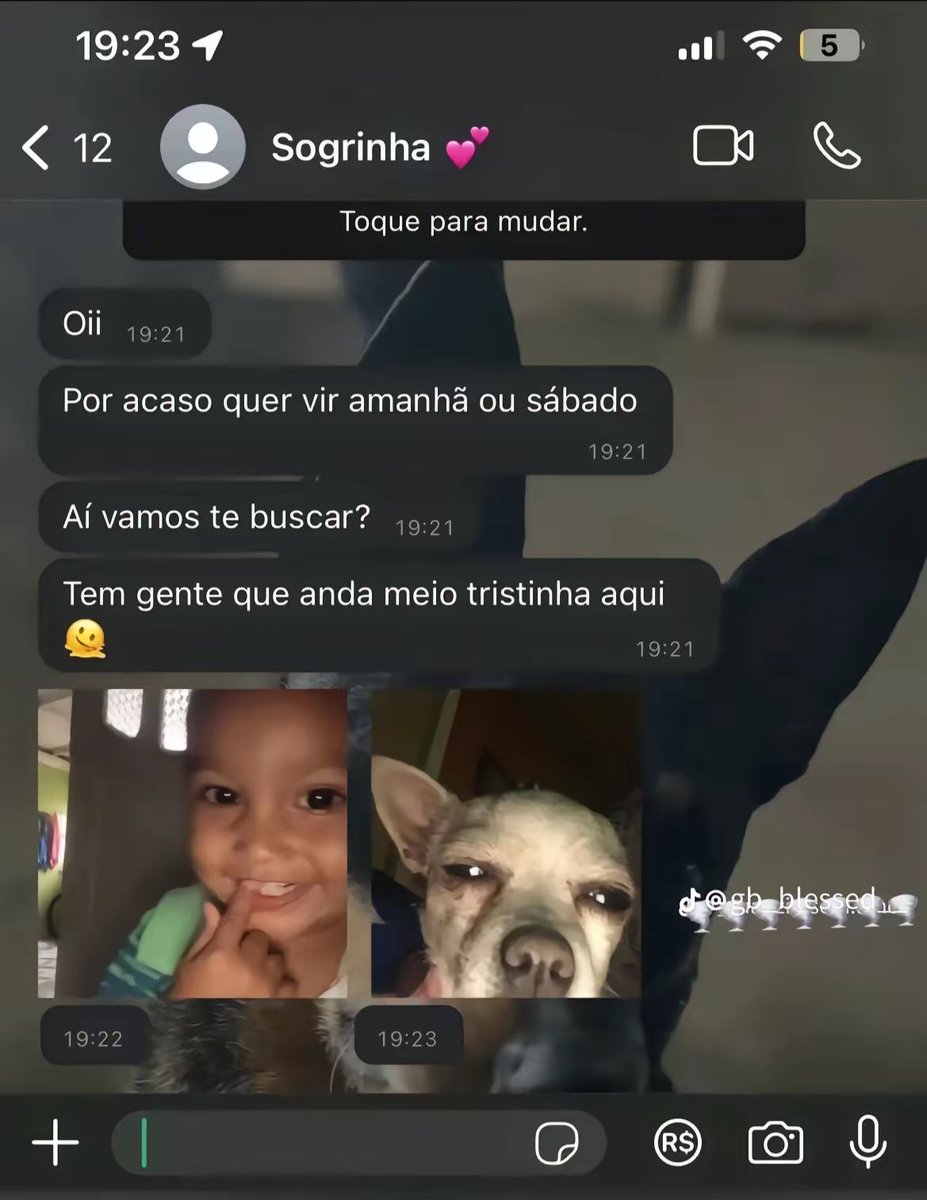 memeparaoarroba's tweet photo. https://t.co/Piz05fqSTt