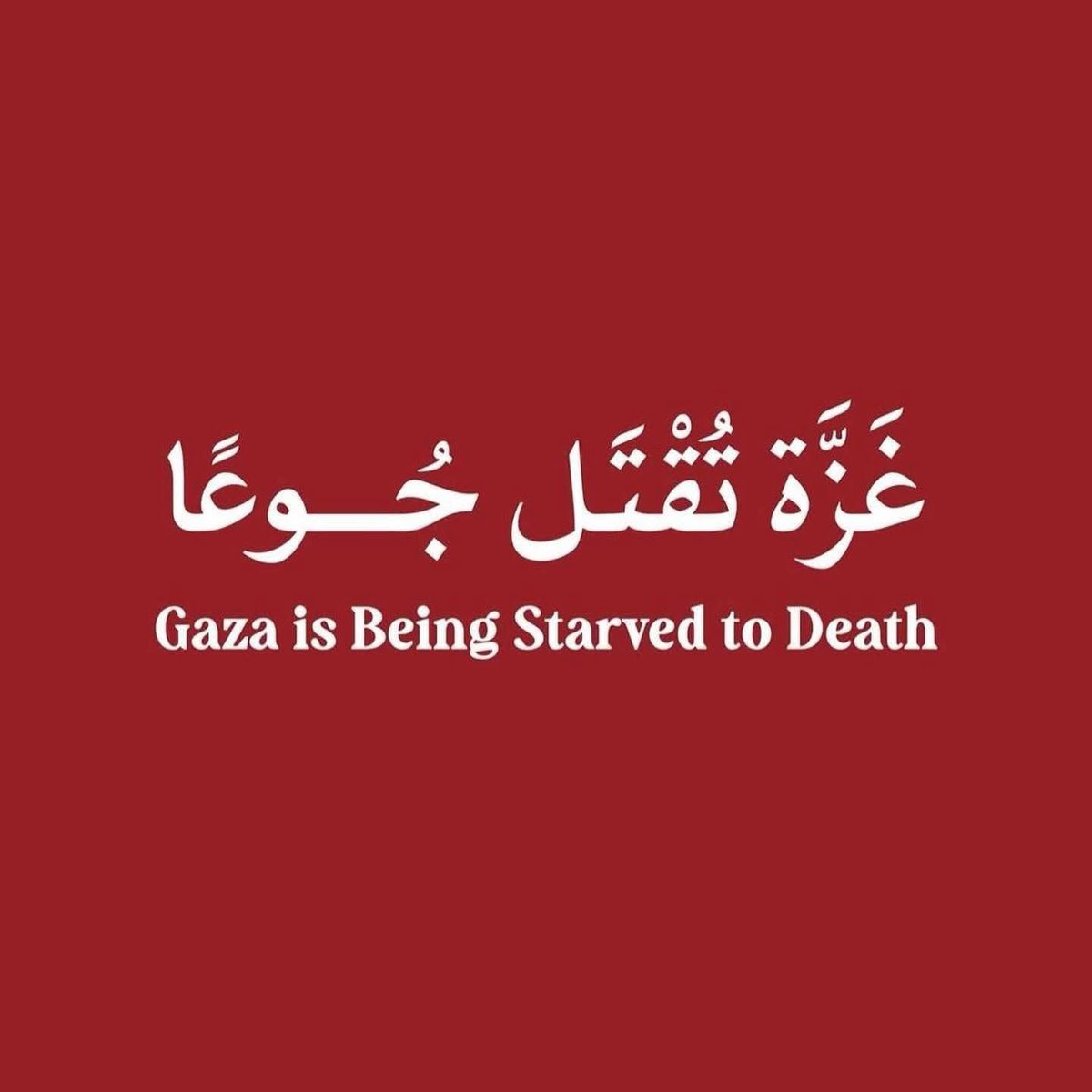 يا من ترى أخاك المسلم يموت جوعًا، وتسمع أنين أطفاله،
 ألا تعلم أنك ستُسأل عن كل قطرة دمع نزفت من عينيه، وكل لحظة جوع عانى منها؟
 إن الأخوة في الإسلام ليست مجرد كلمة تُقال، بل هي جوع يُشبع، وعطش يُسقى، ودمعة تُمسح. فكيف تنام قرير العين وأخاك المسلم يئن من الجوع والحرمان؟"