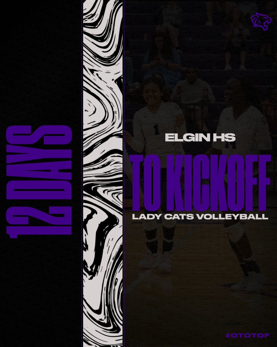 Elgin Wildcat Volleyball (@elginvball) on Twitter photo 🏐 12 Days Out
Fuel = sweat, protein, and volleyball dreams.
 Let’s eat. 
 #12DaysOut #HungryForMore #EHSVolleyball 🏐 12 Days Out
Fuel = sweat, protein, and volleyball dreams.
 Let’s eat. 
 #12DaysOut #HungryForMore #EHSVolleyball