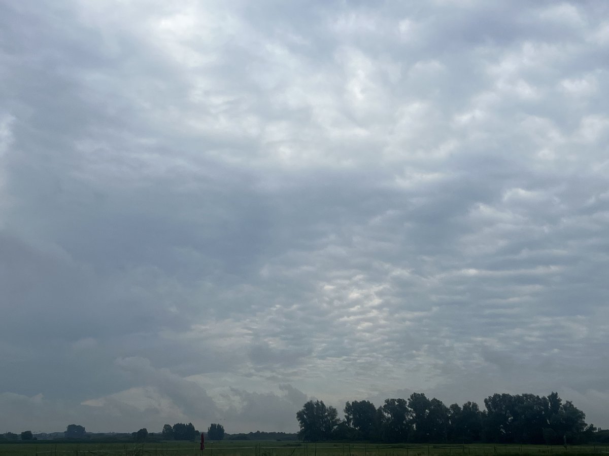 ronaldvanzijl's tweet image. 20/07/2025 – NL – Skyscapes
19:30 h
@Demo2020cracy @Elizabe32413720 @Raggedyedge1 @DELTA9_DELTA9 @BenKnight1980 @druid10 @IonisedSkyWatch @Clearskiesinit @SaskiaHeijden @ImagesCoast @OpChemtrails @Chemtrail101 @SergeLBrown @LegendreKristy @nogps1 @TexMericana
