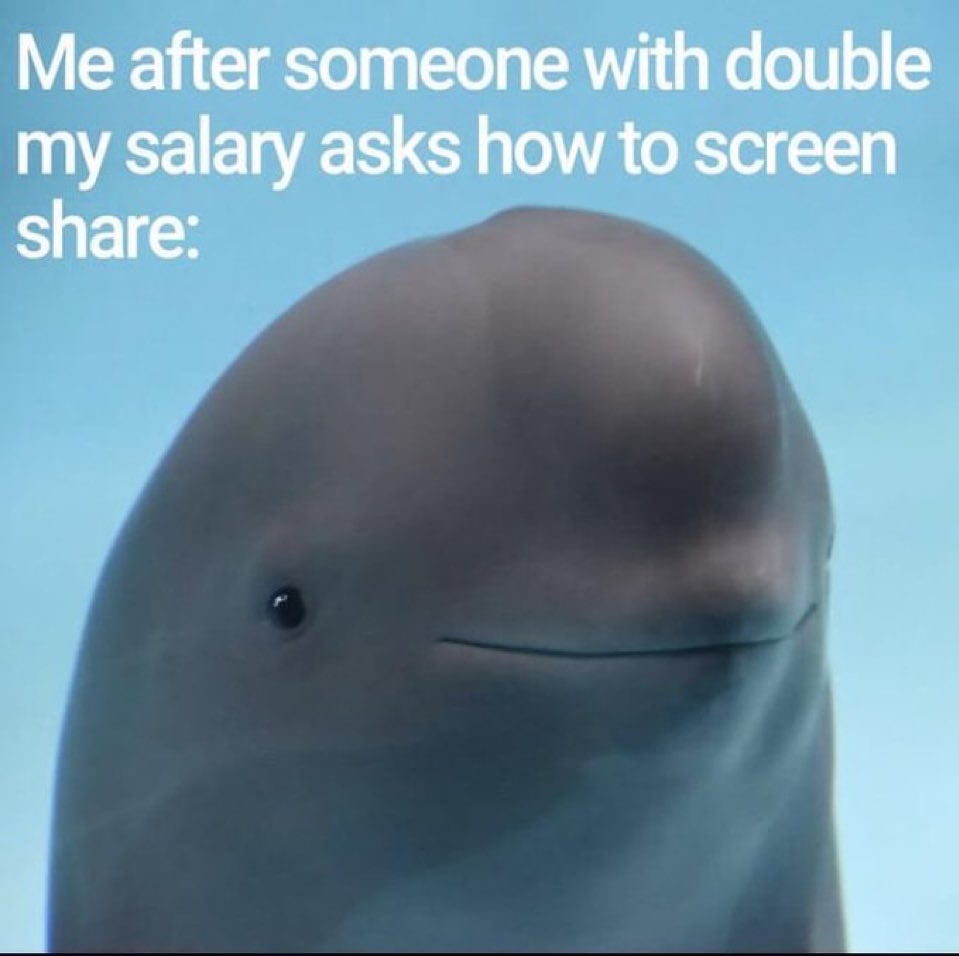 chaotic memes (@memechaotic) on Twitter photo 