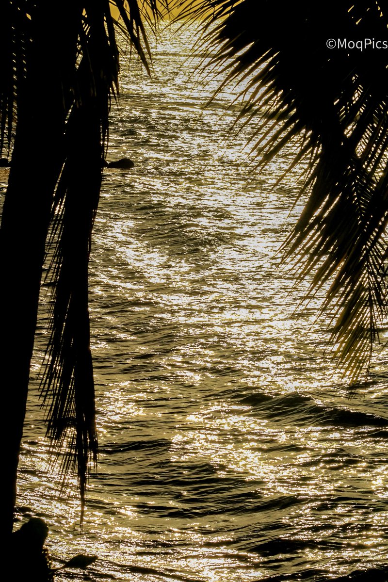 moqjazz's tweet image. El pasado martes tuve la bendición de captar una variedad escenas, colores y contrastes desde un mismo lugar. #PuertoRico @383_787 @AWA_013 @BoricuaVasca @bredle @BrujaBoricua_2 @Fernando_AF14 @GuaybanaJota @GuaybanaJota @ManuelRoldanPR @mateo_ams @canonphotos @NormaOrtizRodr4