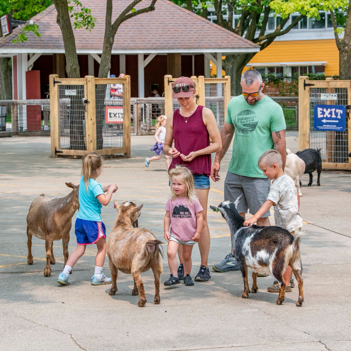 MilwaukeeCoZoo's tweet image. What is the GOAT of all Zoo bucket list items? Feeding the goats, of course!
The Yutka Fence Goat Yard is open daily from 10am-4:15pm. Get up close and personal with over 70 Nigerian dwarf goats at the Northwestern Mutual Family Farm.
#feedthegoats #familyfun #adventure #MKEZoo