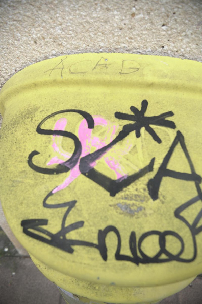 GedarLangileKZ's tweet image. ⚠️ Hau da, bart, Ertzaintzak eta Azpeitiko Udaltzaingoak herriko hainbat gazteren aurka egindako oldarraldia piztu zuen margoketa.