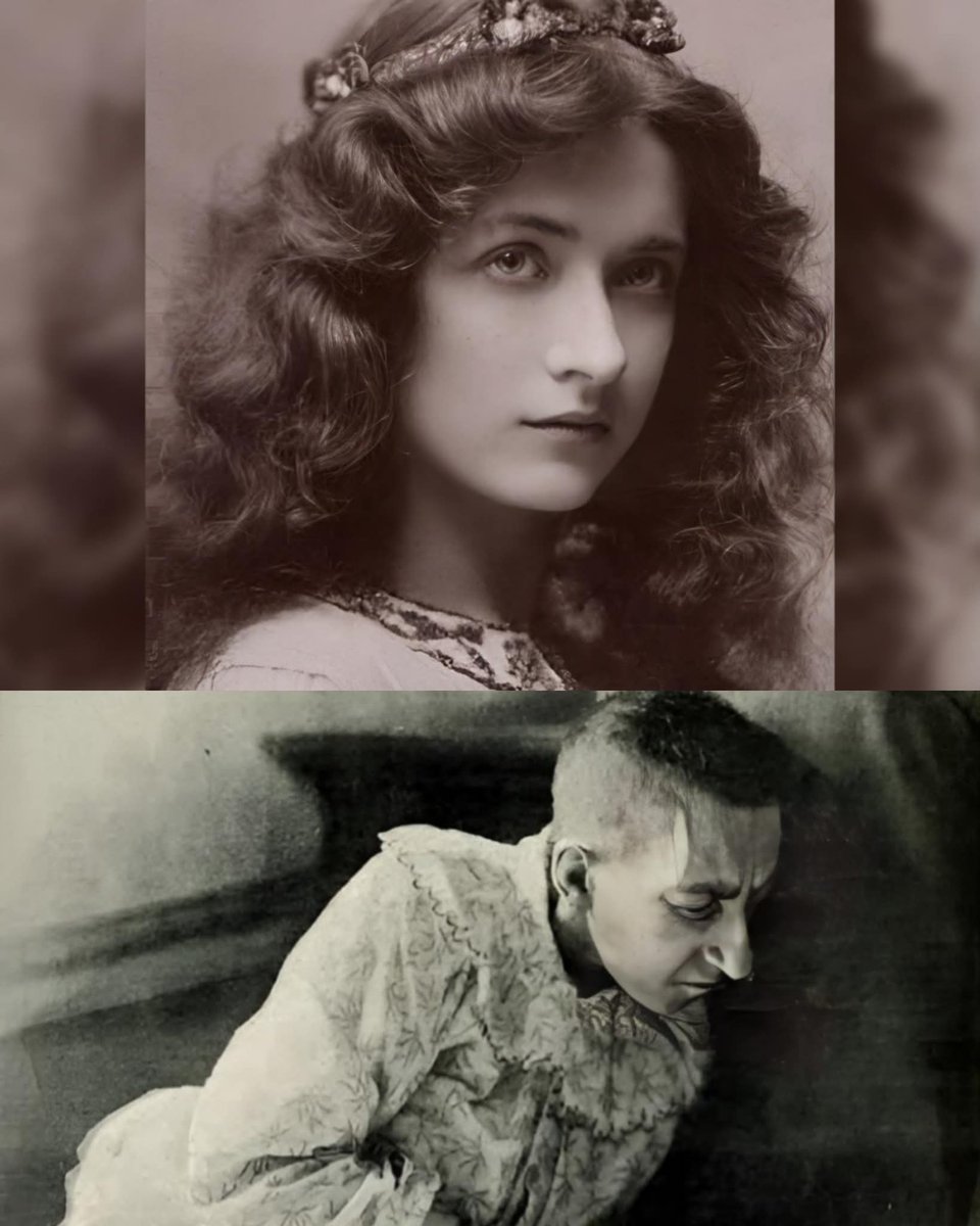 ثريد ...

في قلب مدينة بواتييه الفرنسية، وُلدت بلانش مونييه في الأول من مارس عام 1849، في عائلة أرستقراطية ذات سمعة مرموقة ونفوذ

فضل التغريدة❤ وتابع السرد...⇊