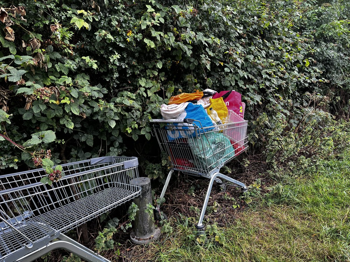 NB Sea Glass | Catherine & Kev tweet media