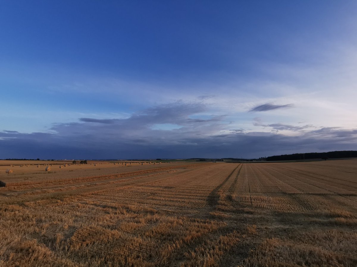 Aurélien BEAUCAMP tweet media