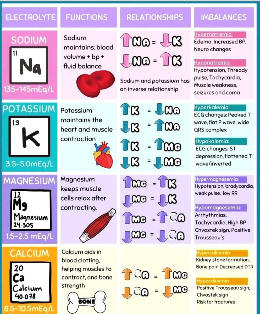 A summary of four important electrolytes: Sodium (Na), Potassium (K), Magnesium (Mg), and Calcium (Ca).

instagram.com/p/DLhRb_syxZK==