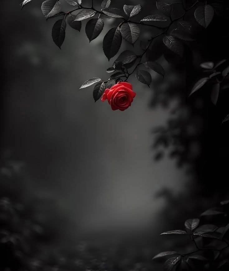 Azam__47's tweet image. تشنگی میری طرح تو بھی قلندر نکلی__🔥
کبھی قطرے پہ تصدّق، کبھی دریا سے گُریز!🫰🥀
#محبت_مافیا