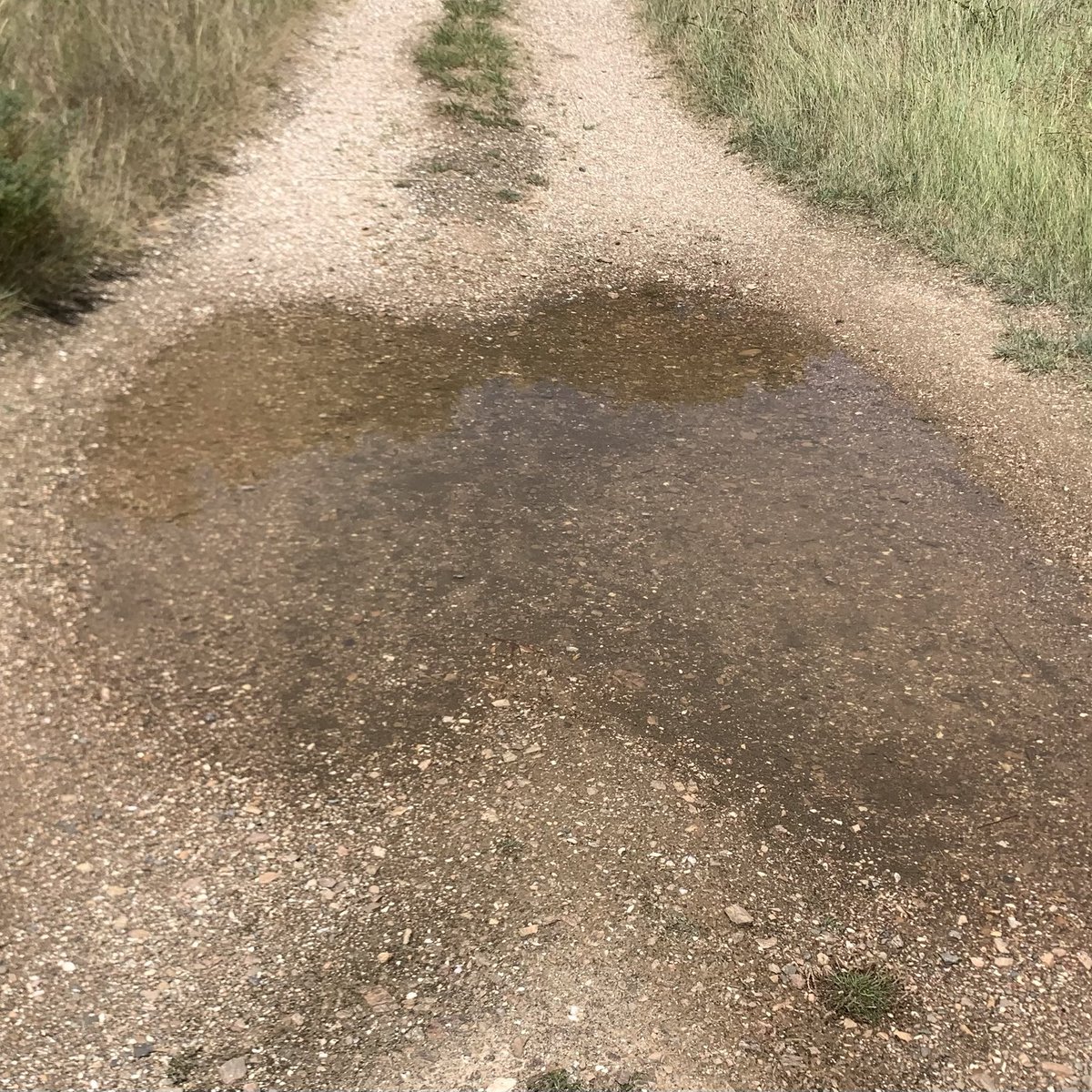 _Lnrvz_'s tweet image. Trading, Hyperliquid.
Farming, Hyperliquid.
Walking, Hyperliquid.
Hyperliquid.