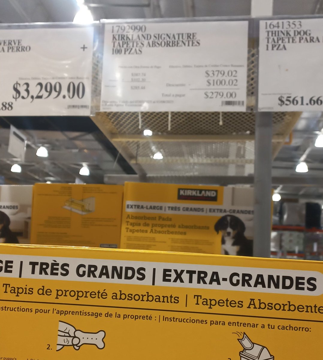 MeowWorkshop's tweet image. Amigos! Estos niños usan bastantes pañales. Estamos en Costco y están de oferta, nos echan una gorrita para una cajita más? También la arena está de descuento en $351.
Tenemos muchas cosas a la venta, por favor.