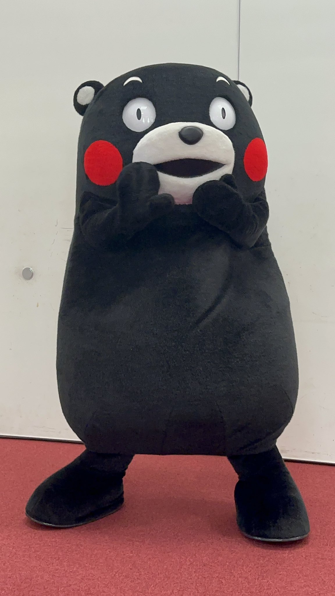 くまもん⭐様 リクエスト 2点 まとめ商品 🅚🅘🅜🅤🅜🅞🅝(🔴'ㅅ'🔴) on X: 