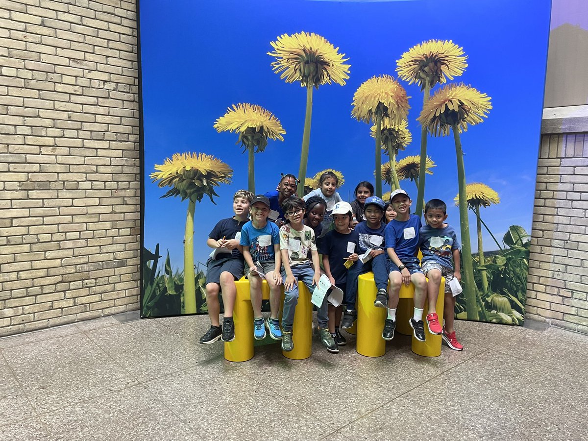SO much fun was had at the <a href="/ROMtoronto/">Royal Ontario Museum</a> this week! Students were fascinated by the colours and animals in the museum and asked incredible questions to further their learning 🦕🦋🦚🎨 <a href="/TCDSBSummerLrn/">TCDSB Summer Learning</a> <a href="/KerrEteach/">Kevin Kerr</a> <a href="/MsCRoti/">Christina Roti</a> <a href="/BrendaSevillano/">Brenda Sevillano</a>