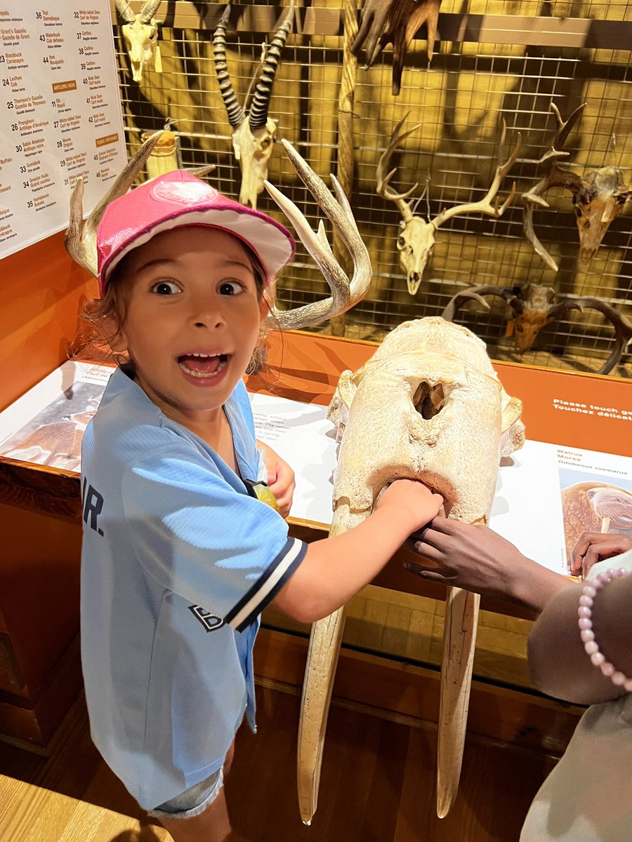 Valerie Iamundo tweet media