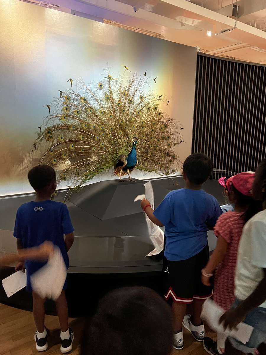 Valerie Iamundo tweet media