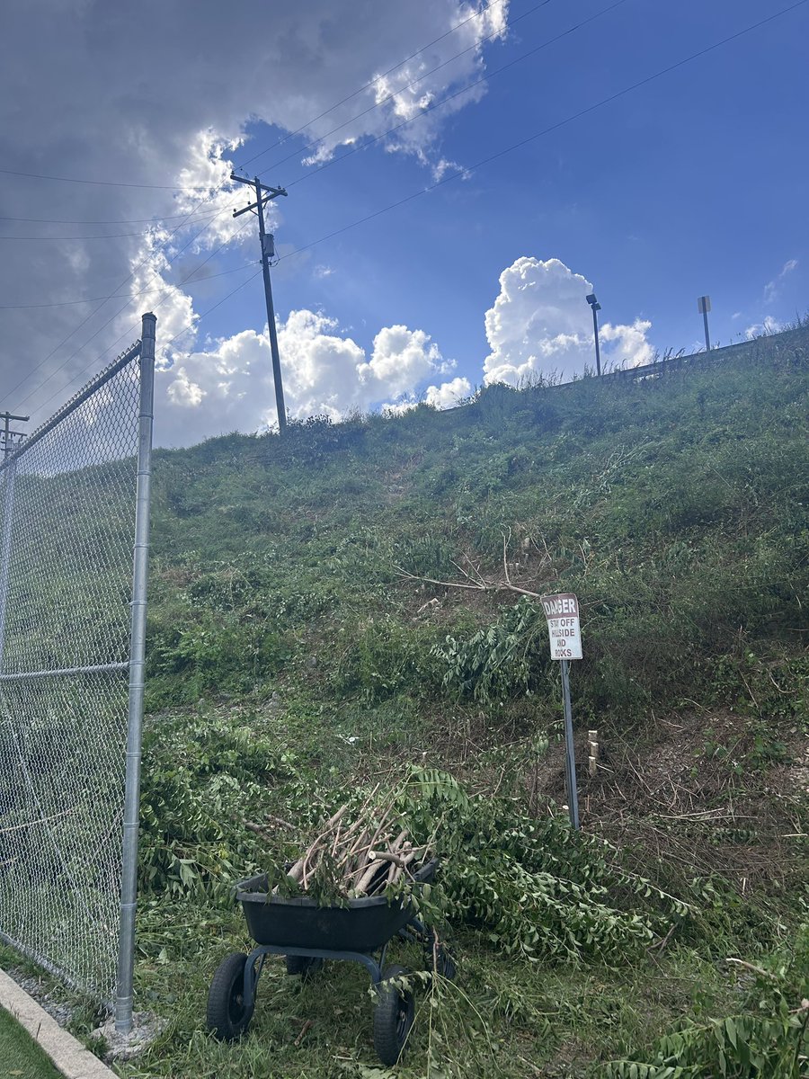 A huge THANK YOU to Hailey Massie for her hard work clearing our hillside near Stayman Field. She is currently working for AmeriCorps/US Forestry and wanted to put her chainsaw skills to work, volunteering to clear the hillside. Thank you!