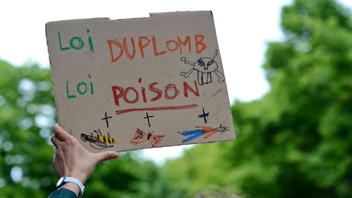 Alors que la pétition demandant son abrogation a déjà receuilli près d'un million de signature, voici le point de vue de la commission écologie du PCF sur la loi Duplomb
ecologie.pcf.fr/2025/07/20/loi…