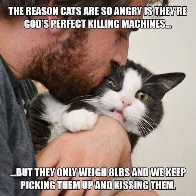 snotzthecat's tweet photo. https://t.co/UbCCTtIg2E