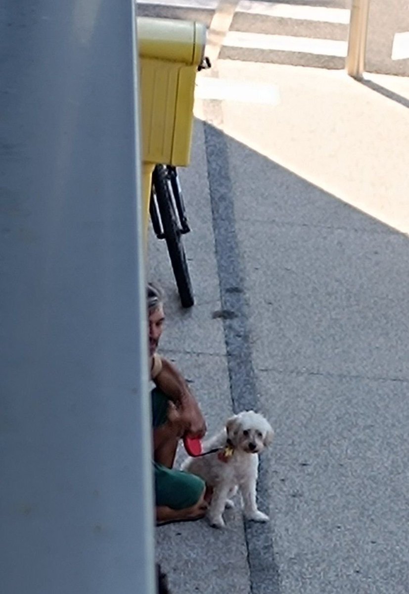 Tu es du BOULOU !  ·
Justine Gtr  
CHIENNE PEUT ÊTRE VOLÉE ?
Bonjour,
Au Lidl du Boulou il y a un SDF qui vient tous les jours et aujourd'hui c'est la première fois qu'il vient avec une chienne, et donc je me demandais si elle était vraiment à lui...
Elle a un collier avec le nom