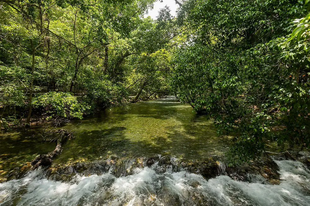 ElSoldeSanLuis's tweet image. ⛺🏊🏼 #2Horas | El Nacimiento de agua del balneario Tambaque, en el Pueblo Mágico de Aquismón, vive su mejor momento. Familias enteras pueden disfrutar de un arroyo cristalino y de aguas tranquilas con toda seguridad.

Checa aquí los detalles 👉🏾 is.gd/ugJTeG