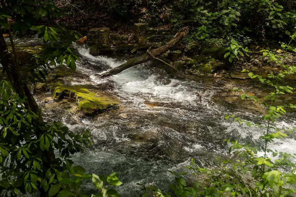 ElSoldeSanLuis's tweet image. ⛺🏊🏼 #2Horas | El Nacimiento de agua del balneario Tambaque, en el Pueblo Mágico de Aquismón, vive su mejor momento. Familias enteras pueden disfrutar de un arroyo cristalino y de aguas tranquilas con toda seguridad.

Checa aquí los detalles 👉🏾 is.gd/ugJTeG