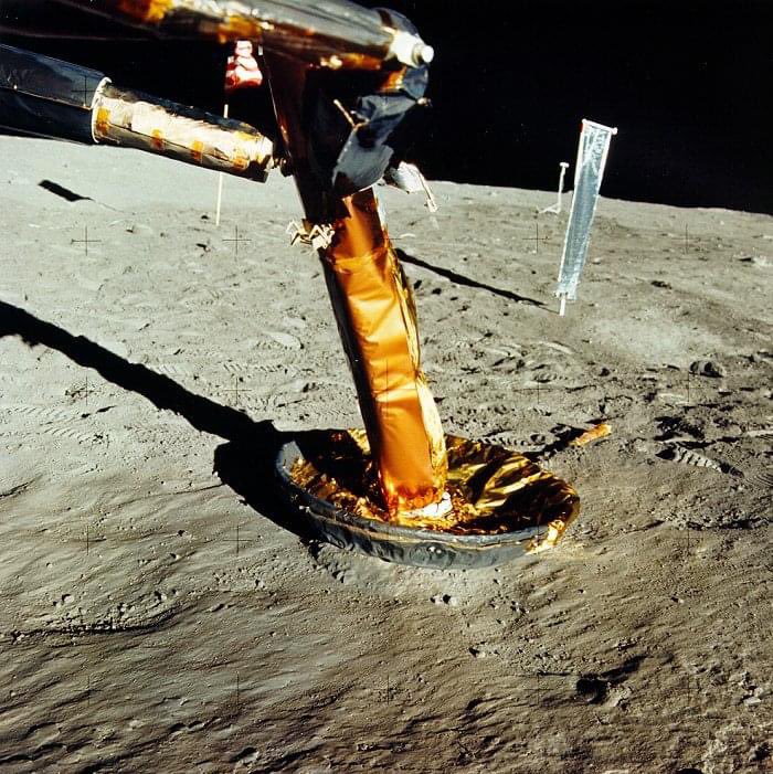 airandspace's tweet image. "The Eagle has wings." ➡️ "The Eagle has landed."
Today in 1969, #Apollo11 astronauts Neil Armstrong and Buzz Aldrin separated lunar module Eagle from command module Columbia and landed on the surface of the Moon.