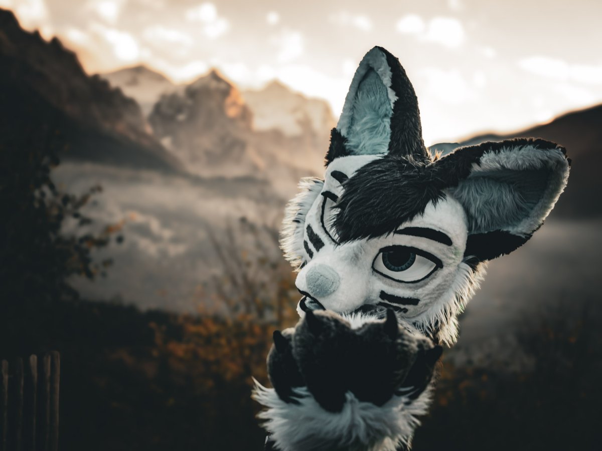 +++LAST MINUTE PHOTO OFFER FOR #AWOOSTRIA 2025+++

You're going to Awoostria and looking for a photographer?

I'm taking up to 3 slots for this convention. 
I would charge 80 € for 30 minutes or 140 € for an hour. 

☑️ Bring Friends (+50% of charge)
☑️ Split 1 hour into 2 slots