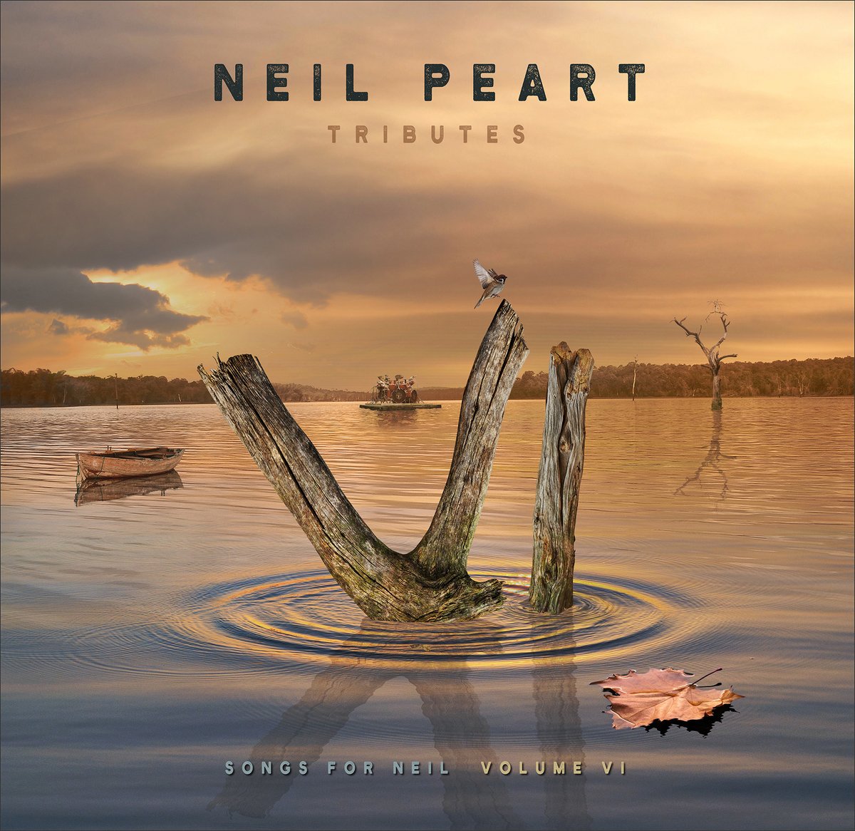 Songs for Neil: Volume 6 Tribute Album Coming This September. Pre-Orders Now Open 
news.cygnus-x1.net/2025/07/songs-…
