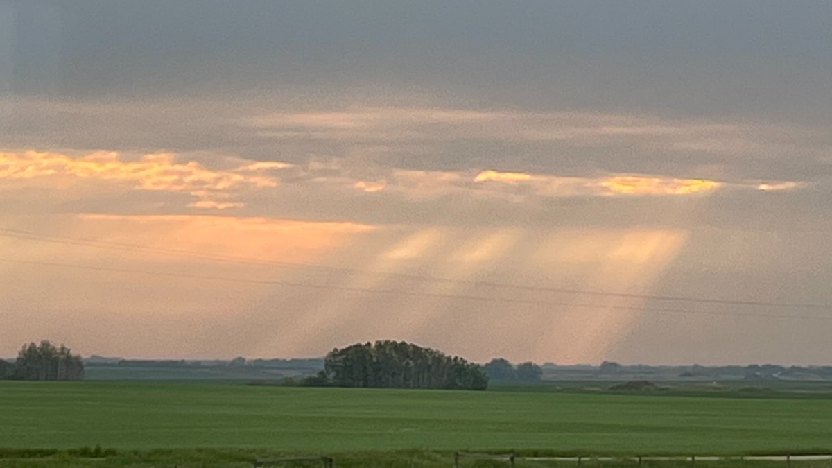 iotaunam's tweet image. "The Lord is the strength of His people..."
- from the Introit of the Sixth Sunday after
Pentecost.