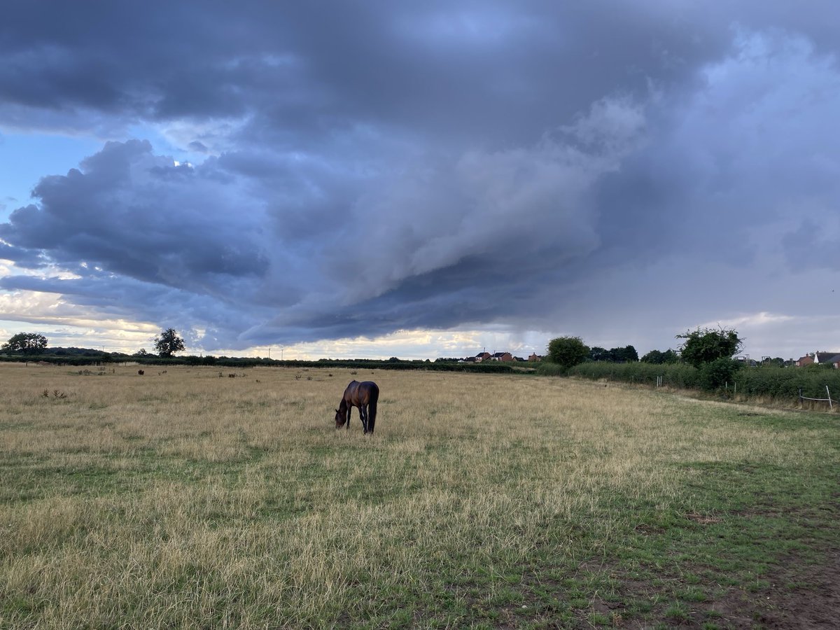 Nice to see this thunderstorm just sailing by….