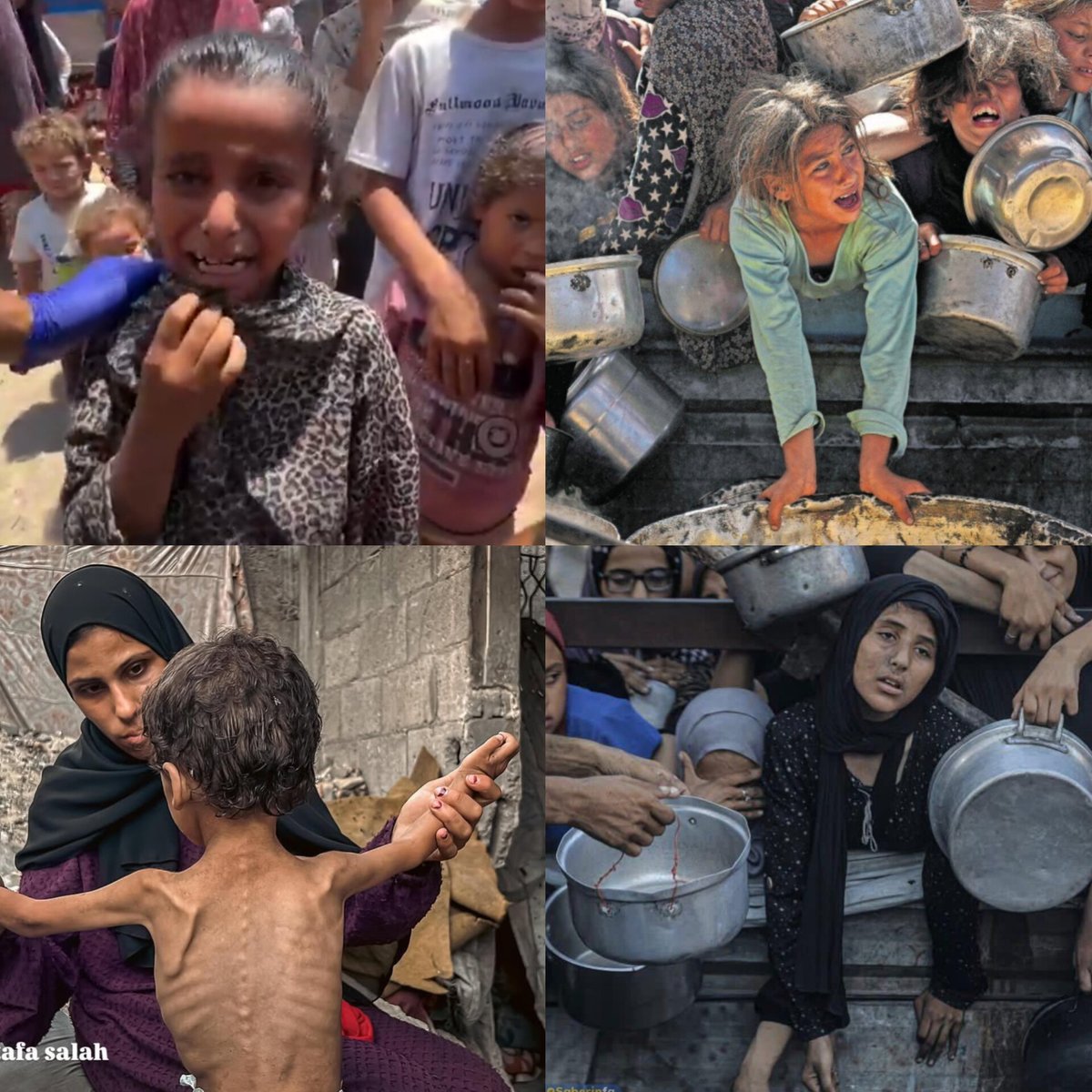 Maman__Reyhan's tweet image. پزشکان در غزه: اگر غذا، نوشیدنی و پودر شیر طی ۴۸ ساعت آینده وارد غزه نشود، بزرگترین کشتار در تاریخ بشر رخ خواهد داد
#اللهم_عجل_لولیڪ_الفرج
#غزه_را_فراموش_نکنیم
