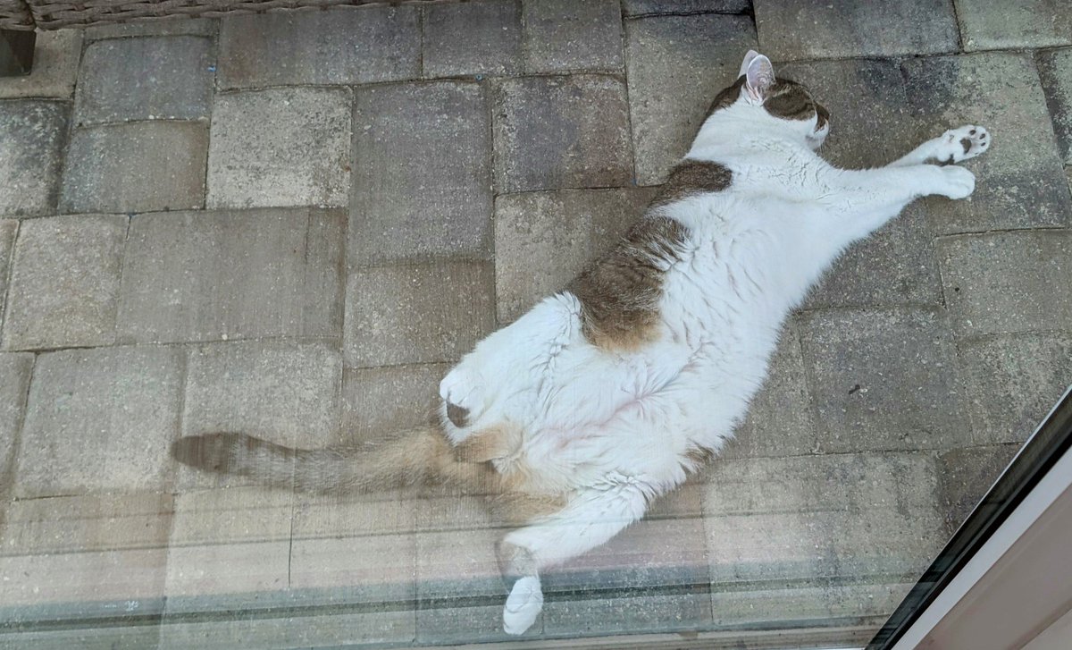 BuckWoodyMSFT's tweet image. &lt;thunder, lightning, end of times storm&gt;
Tina on the covered but wide open porch: