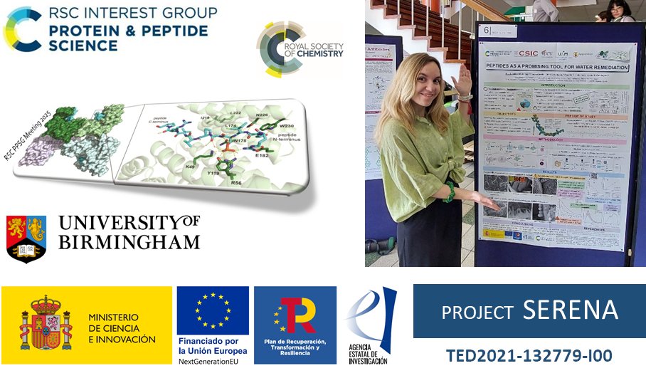 Our colleague Ana Castellanos-Aliaga participates in the 2025 RSC Protein and Peptide Science Group (PPSG) Early Stage Researcher Meeting held in Birmingham, UK,  presenting the latest findings on the use of peptides as water remediation tools <a href="/icvcsic/">Instituto de Cerámica y Vidrio ICV-CSIC</a> <a href="/RSC_PPSG/">RSC Protein and Peptide Science Group</a> <a href="/anicasalia/">Ana</a>