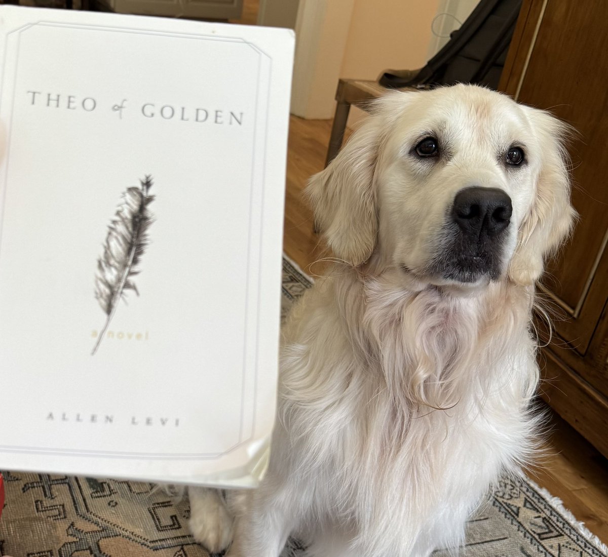 Greg_Byrne's tweet image. Summer gives an opportunity to do some reading.
My reading partner, Henry Byrne and I recently finished - Theo of Golden.
Thought it was worth sharing.
Great book about a kind but mysterious man who moved to a small GA town. His actions create life changing relationships.📚