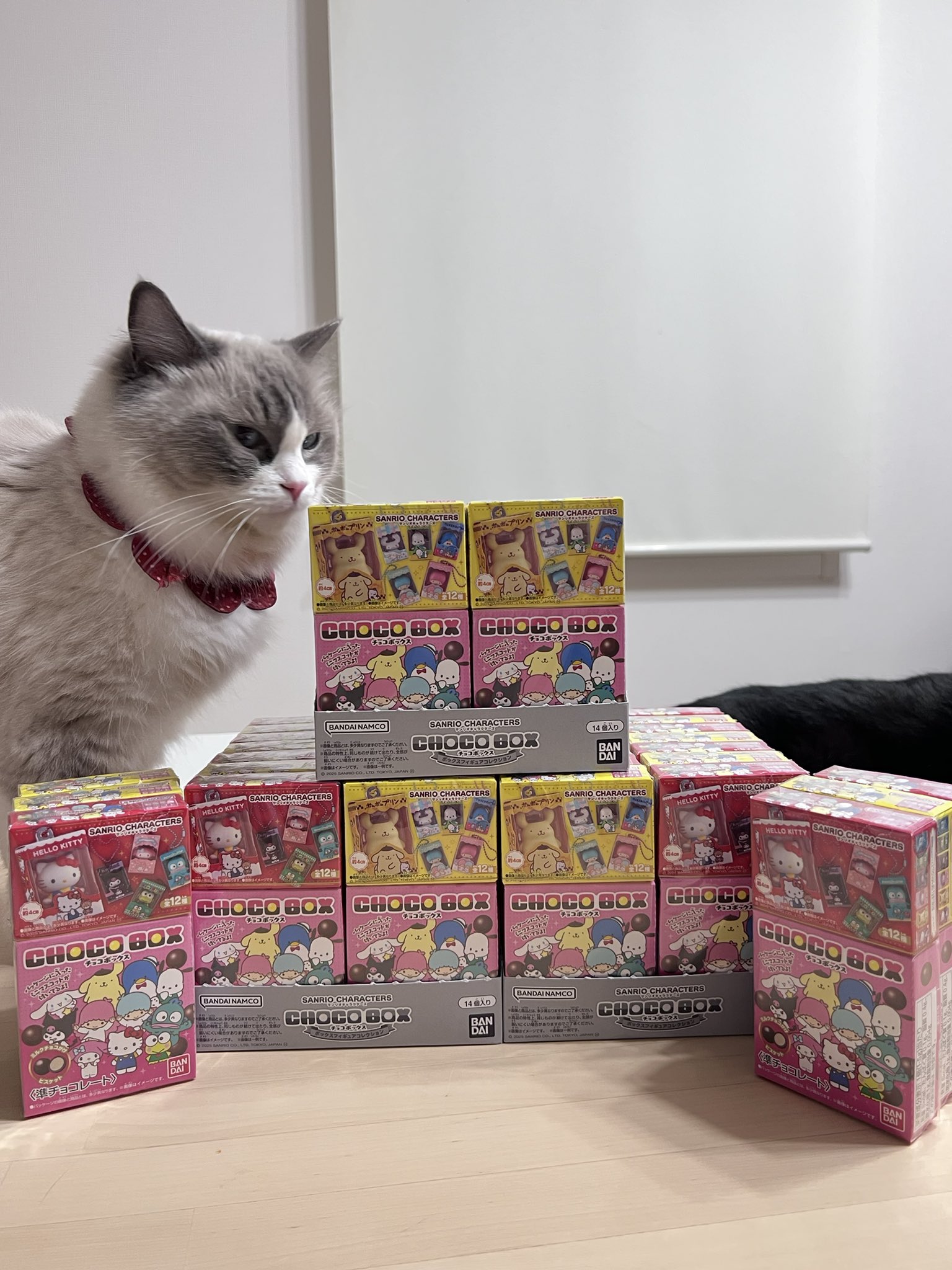 もっちょページ♡⃜ 板前へいちゃん 切り絵アーチスター | めちゃくちゃ可愛い