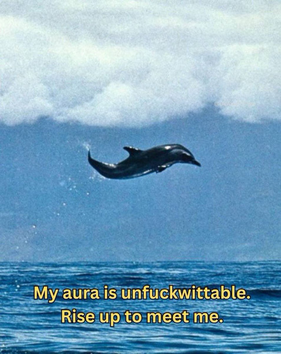 Zen 👨🚀 tweet media