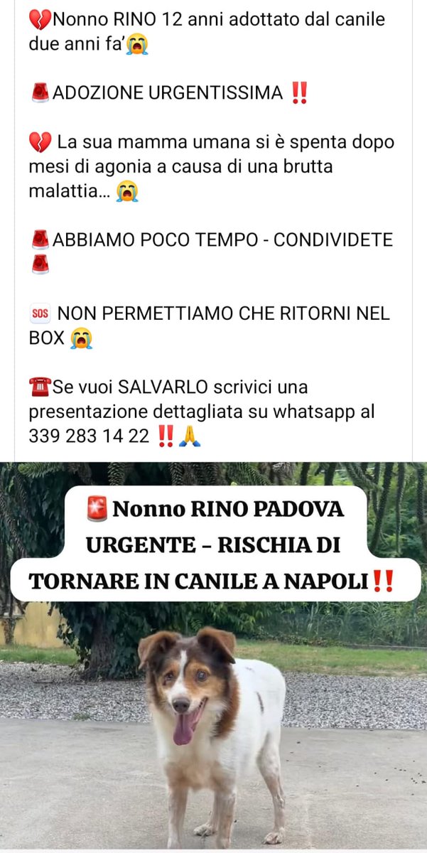 Tantissimi rt grazie