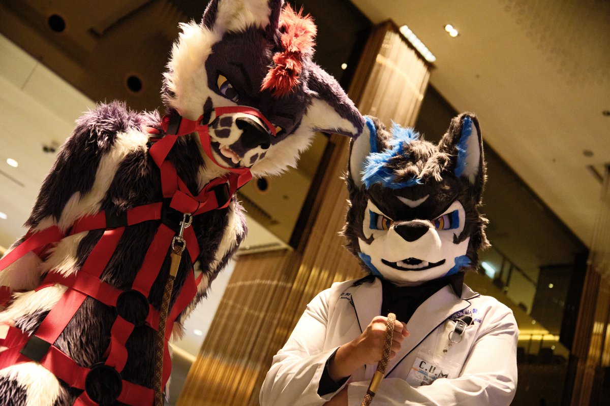 Archer Magnum (@vectorshen) on Twitter photo 