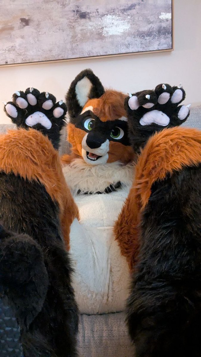 aurelius0u0's tweet image. put yer pawbs up uwu
